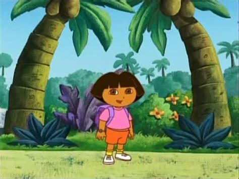 The Enigmatic Nature of the Magic Sick Dora